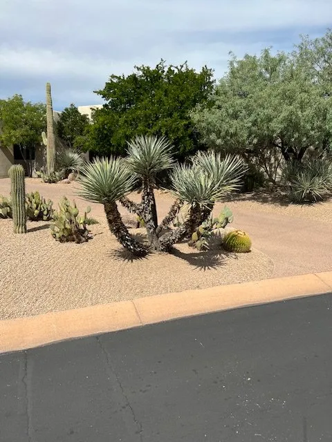 Trusted lawn mowing service in Phoenix, AZ - Eddy’z Landscaping