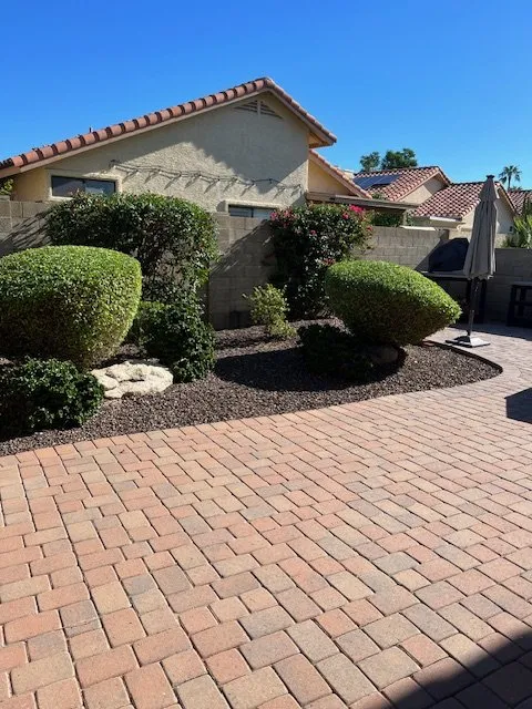 Expert yard cleanup service in Phoenix, AZ - Eddy’z Landscaping
