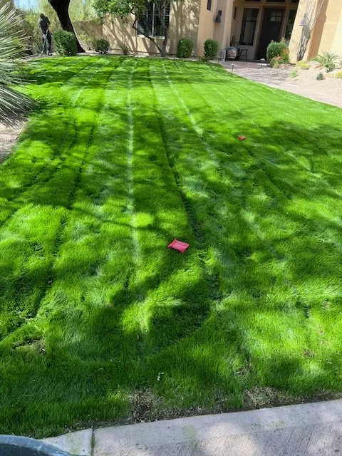 Local lawn mowing service experts serving Phoenix, AZ - Eddy’z Landscaping