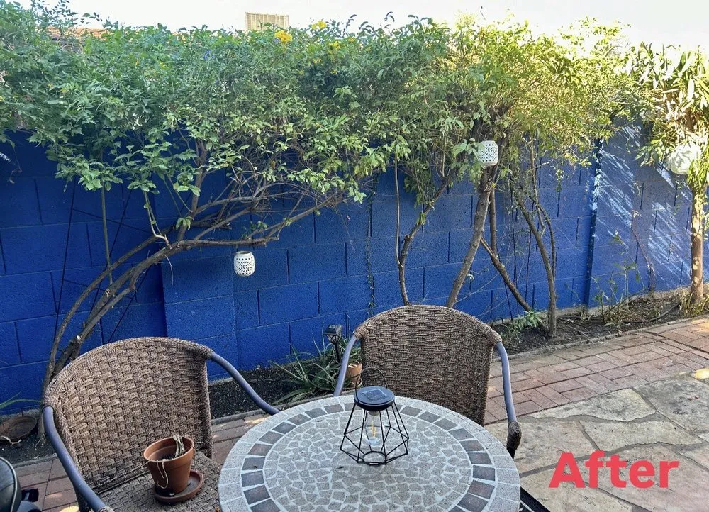 Custom landscaping services in Phoenix, AZ by Eddy’z Landscaping