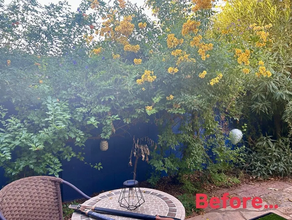 Local garden landscaping in Phoenix, AZ - Eddy’z Landscaping