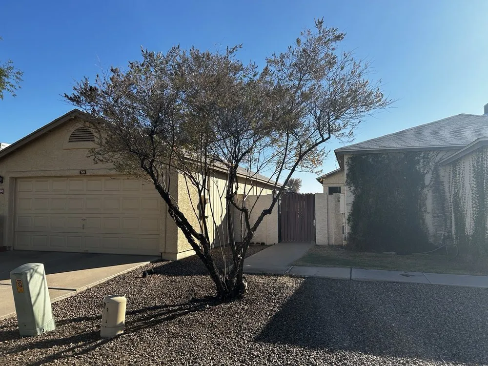 Reliable lawn mowing service with custom design in Phoenix, AZ by Eddy’z Landscaping