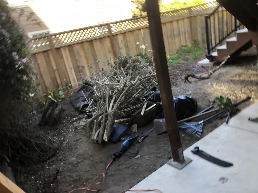 Local yard cleanup service in San Francisco, CA - Edelmar’s Gardening Landscape