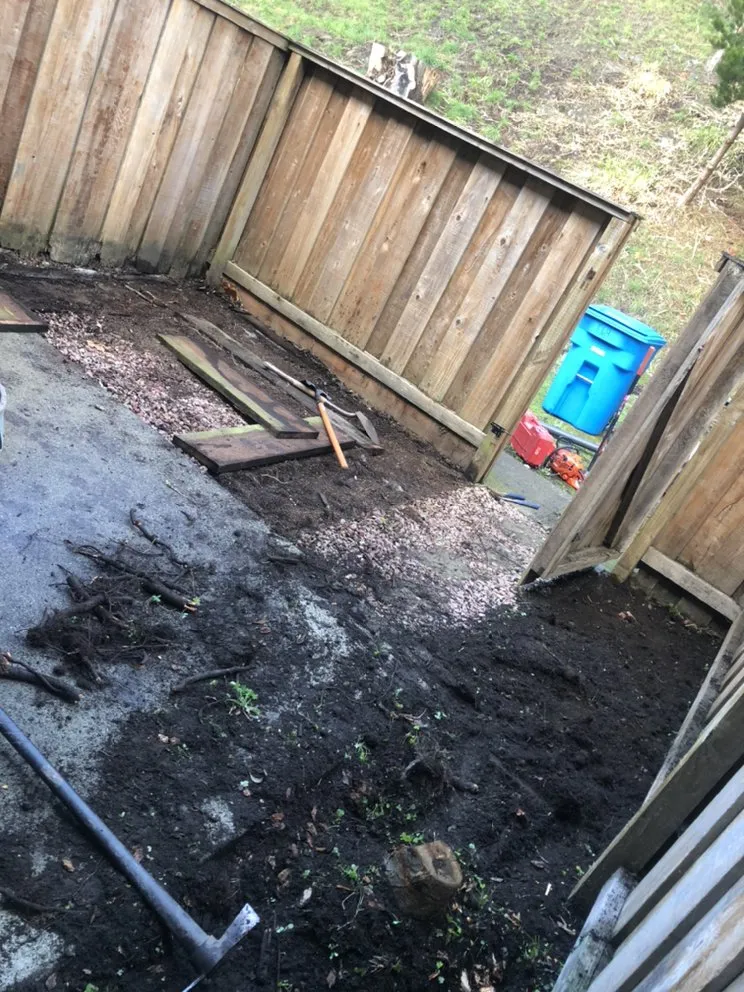 Top-rated garden landscaping in San Francisco, CA - Edelmar’s Gardening Landscape