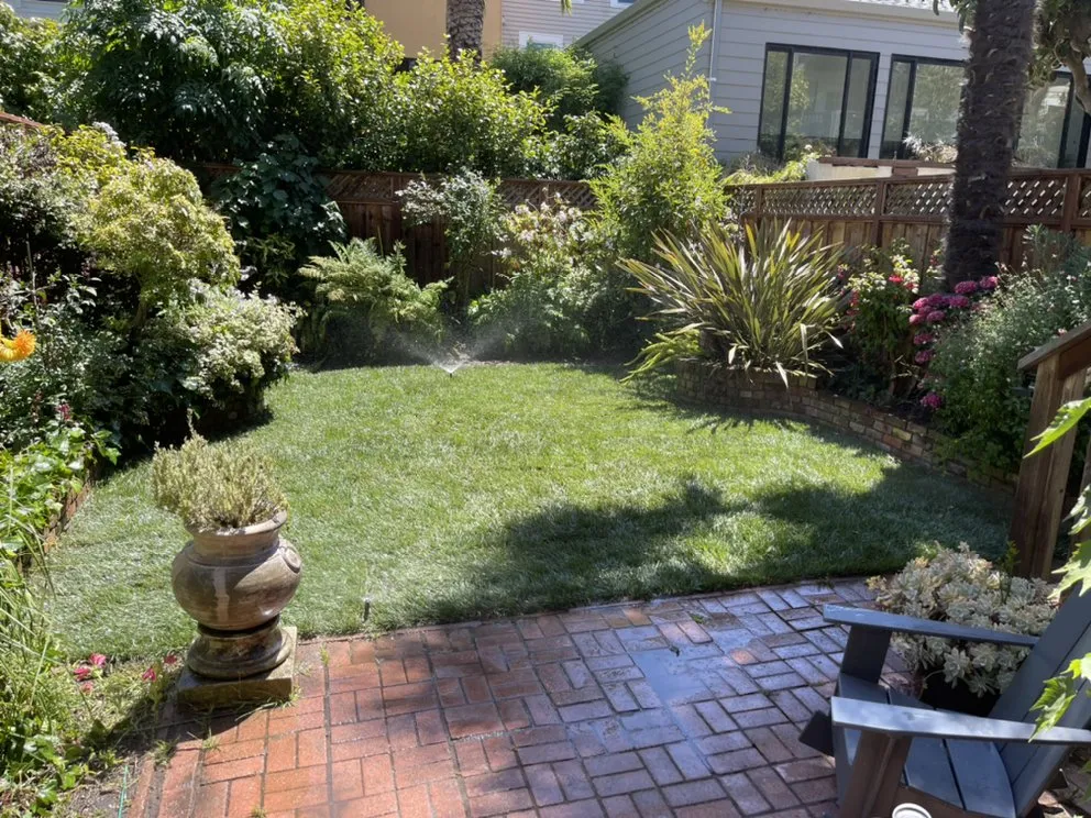 Expert lawn care service in San Francisco, CA - Edelmar’s Gardening Landscape