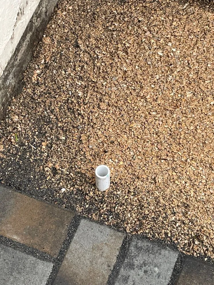 Professional yard maintenance experts serving San Francisco, CA - Edelmar’s Gardening Landscape