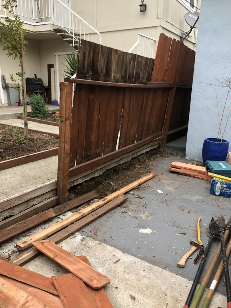 Affordable outdoor landscaping in San Francisco, CA by Edelmar’s Gardening Landscape