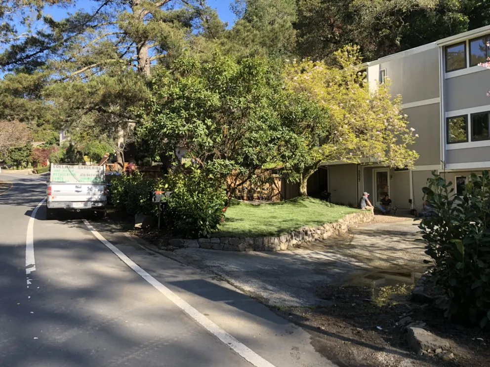 Expert lawn care service near you in San Francisco, CA by Edelmar’s Gardening Landscape