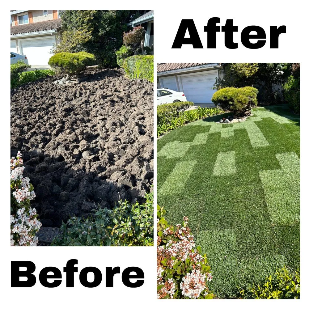 Top-rated landscape design in Huntington Beach, CA by Edel's Landscaping & Maintenance