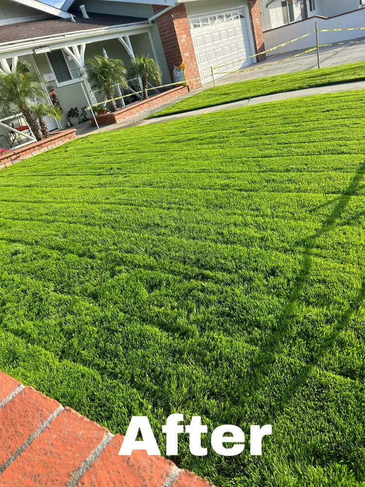 Local lawn care service near you across Huntington Beach, CA - Edel's Landscaping & Maintenance