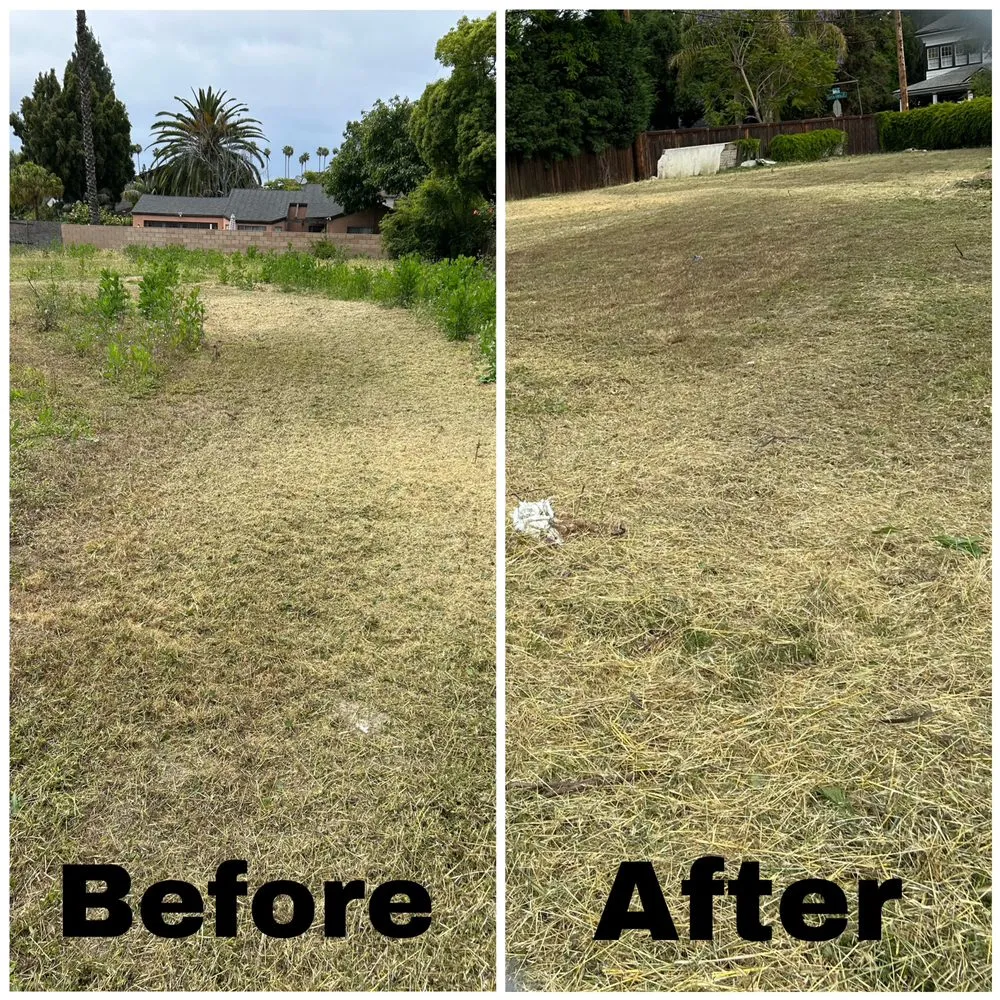 Affordable landscape installation in Huntington Beach, CA by Edel's Landscaping & Maintenance