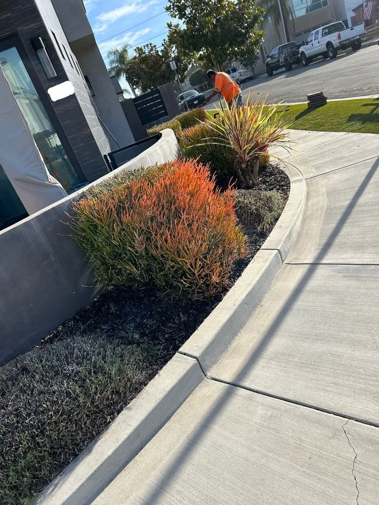 Trusted lawn mowing service experts serving Huntington Beach, CA - Edel's Landscaping & Maintenance