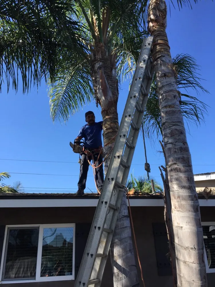 Local landscaping services for year-round maintenance across Huntington Beach, CA - Edel's Landscaping & Maintenance