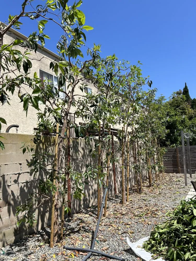 Local landscaping services experts serving Huntington Beach, CA - Edel's Landscaping & Maintenance