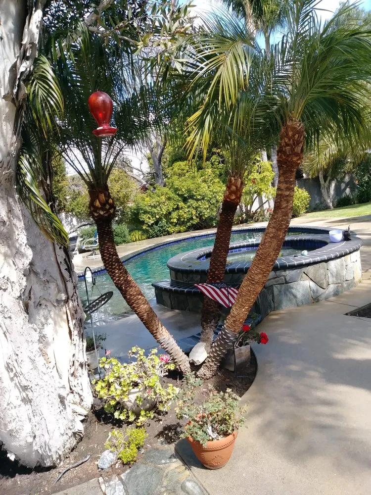 Professional landscaping services experts serving Huntington Beach, CA - Edel's Landscaping & Maintenance