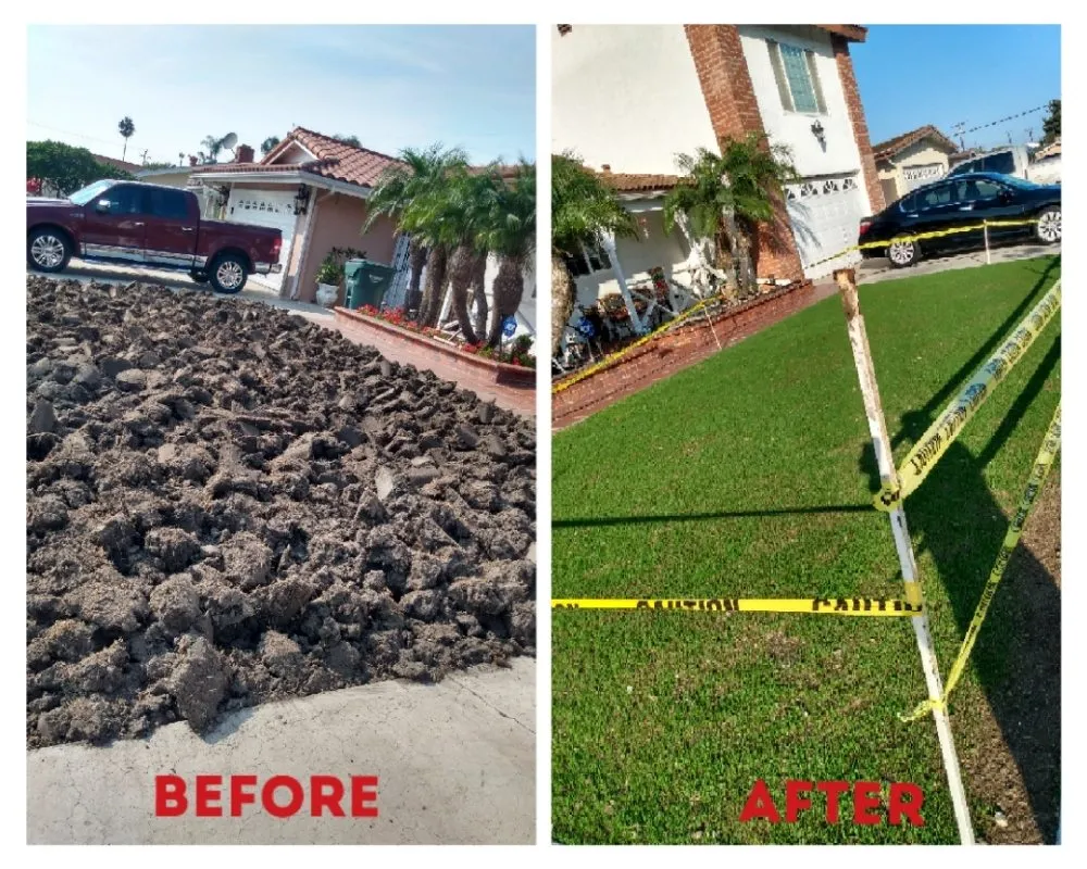 Trusted landscape design in Huntington Beach, CA - Edel's Landscaping & Maintenance