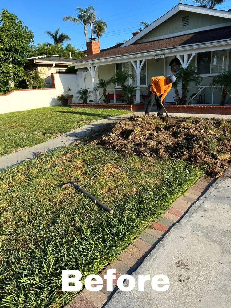 Reliable landscaping services for residential properties in Huntington Beach, CA by Edel's Landscaping & Maintenance