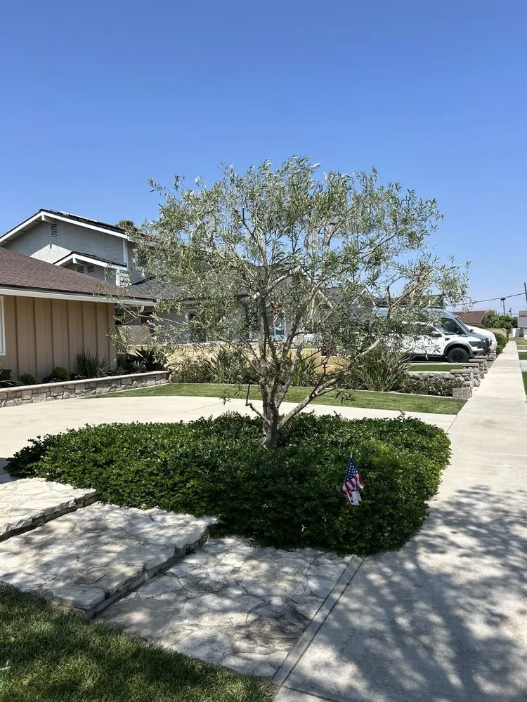 Top-rated residential landscaping in Huntington Beach, CA - Edel's Landscaping & Maintenance