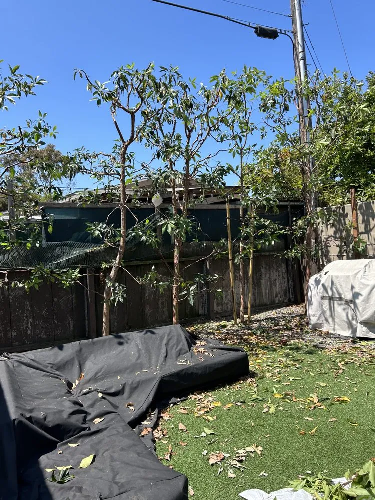 Local garden landscaping for beautiful yards across Huntington Beach, CA - Edel's Landscaping & Maintenance