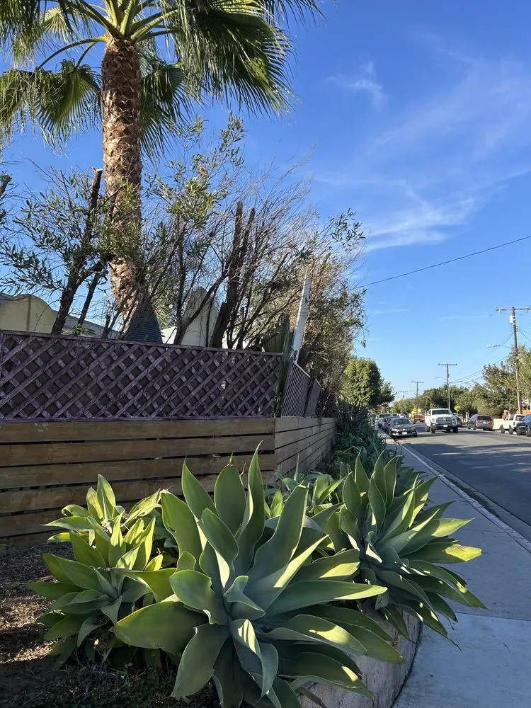 Professional landscape installation for residential properties in Huntington Beach, CA by Edel's Landscaping & Maintenance