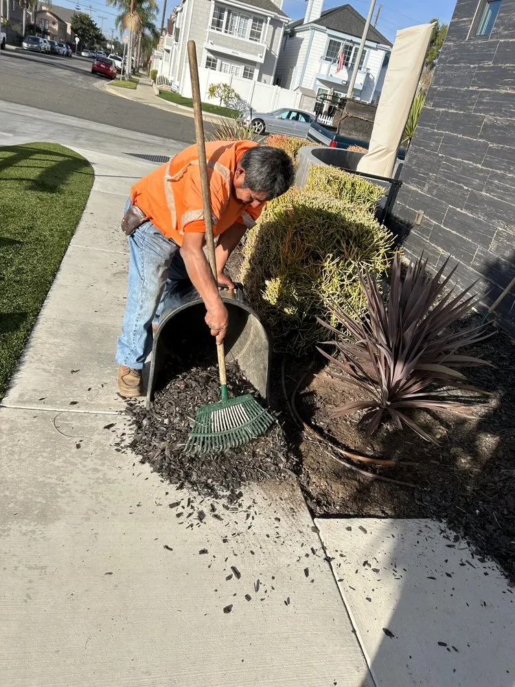 Trusted landscape installation for outdoor upgrades in Huntington Beach, CA by Edel's Landscaping & Maintenance