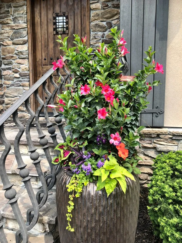 Affordable yard maintenance in Omaha, NE - Eden Artistry