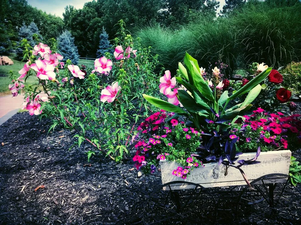 Reliable landscaping services experts serving Omaha, NE - Eden Artistry