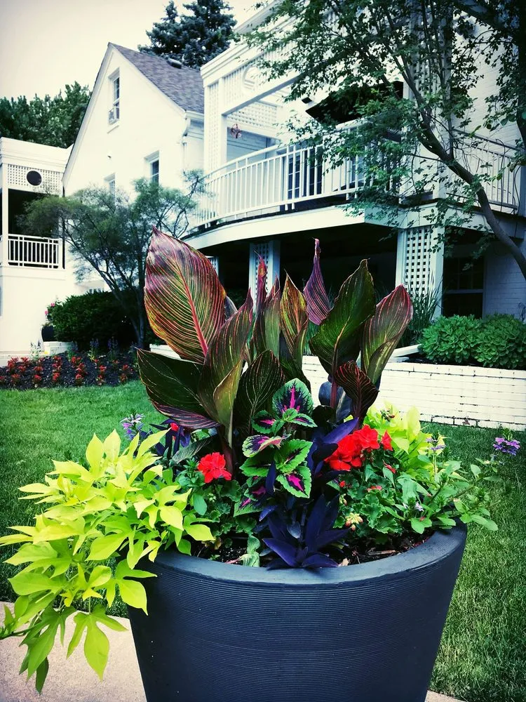 Professional lawn mowing service experts serving Omaha, NE - Eden Artistry