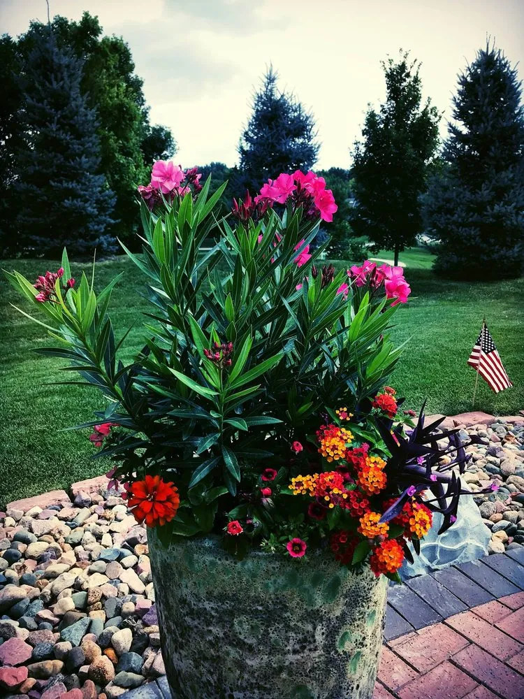 Reliable yard cleanup service near you across Omaha, NE - Eden Artistry