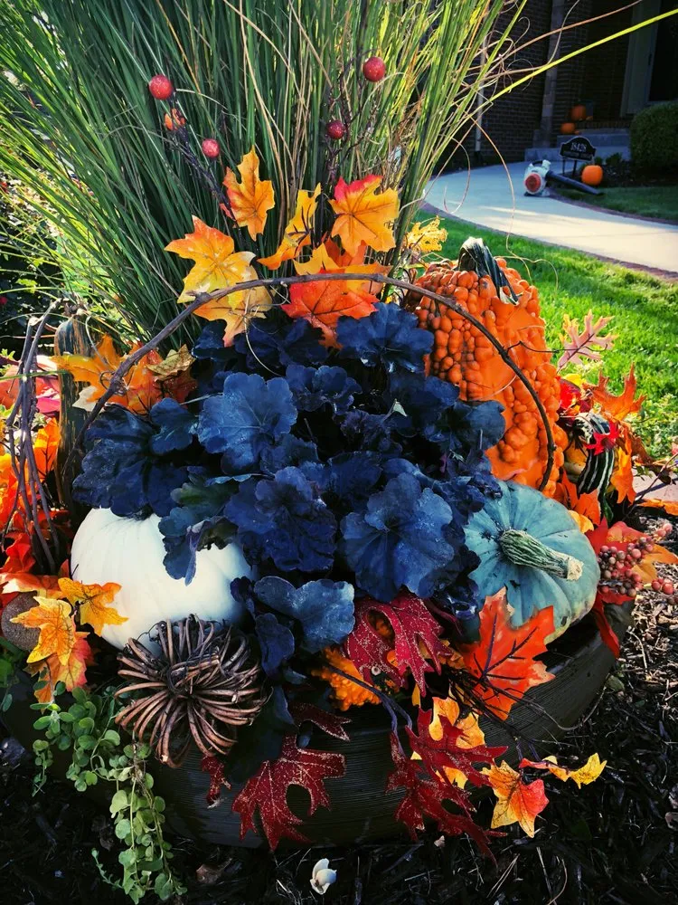 Custom yard cleanup service near you across Omaha, NE - Eden Artistry