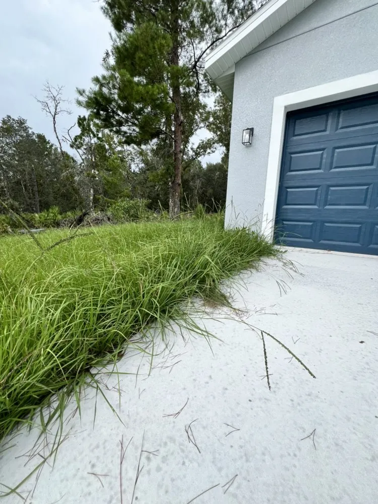 Reliable lawn mowing service experts serving Citrus Springs, FL - Eden Exteriors