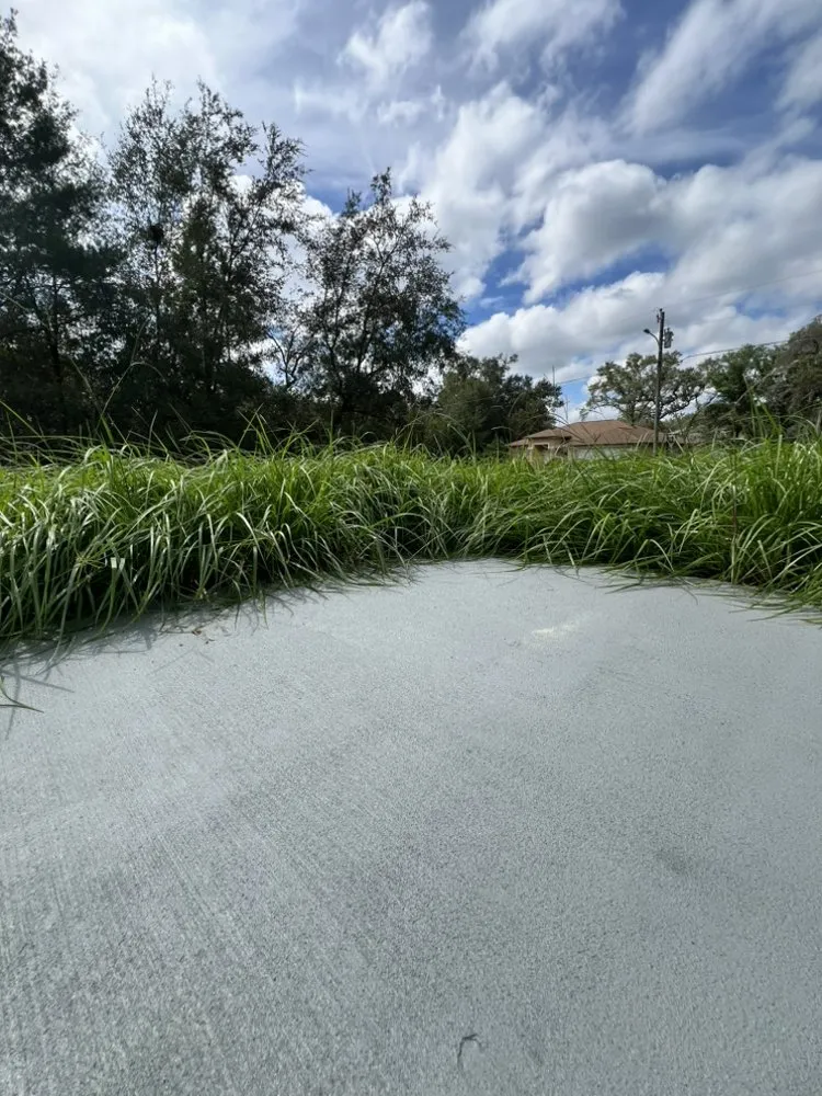 Local outdoor landscaping experts serving Citrus Springs, FL - Eden Exteriors