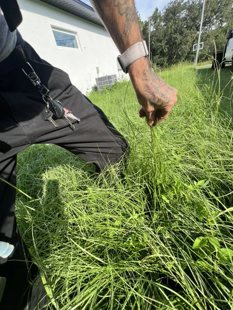 Local residential landscaping for year-round maintenance in Citrus Springs, FL by Eden Exteriors