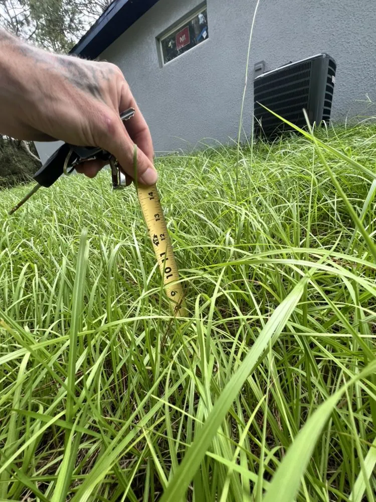 Local landscape installation in Citrus Springs, FL by Eden Exteriors