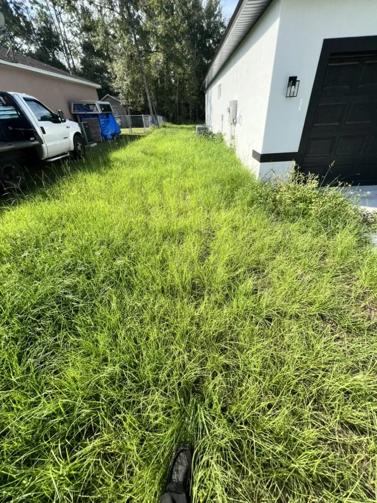 Custom landscape installation in Citrus Springs, FL by Eden Exteriors