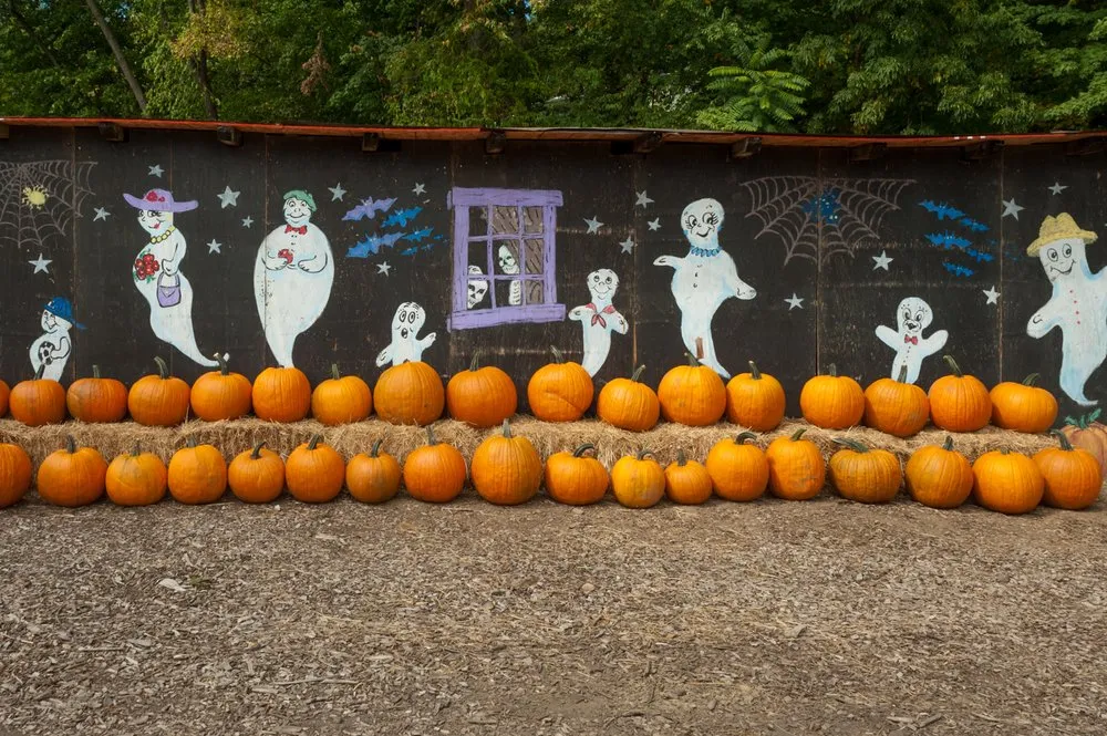 Trusted garden landscaping in Stamford, CT - Eden Farms Nursery & Garden Center