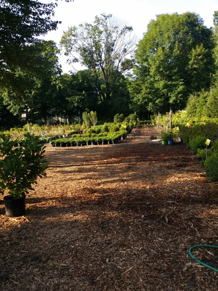Affordable landscaping services in Stamford, CT by Eden Farms Nursery & Garden Center