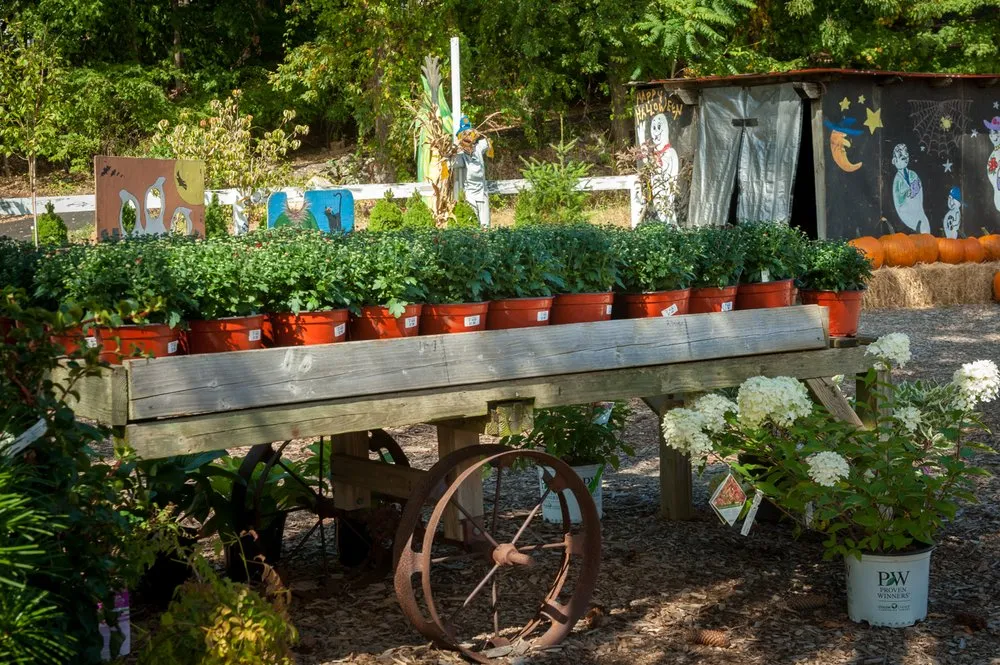 Custom landscape design in Stamford, CT - Eden Farms Nursery & Garden Center