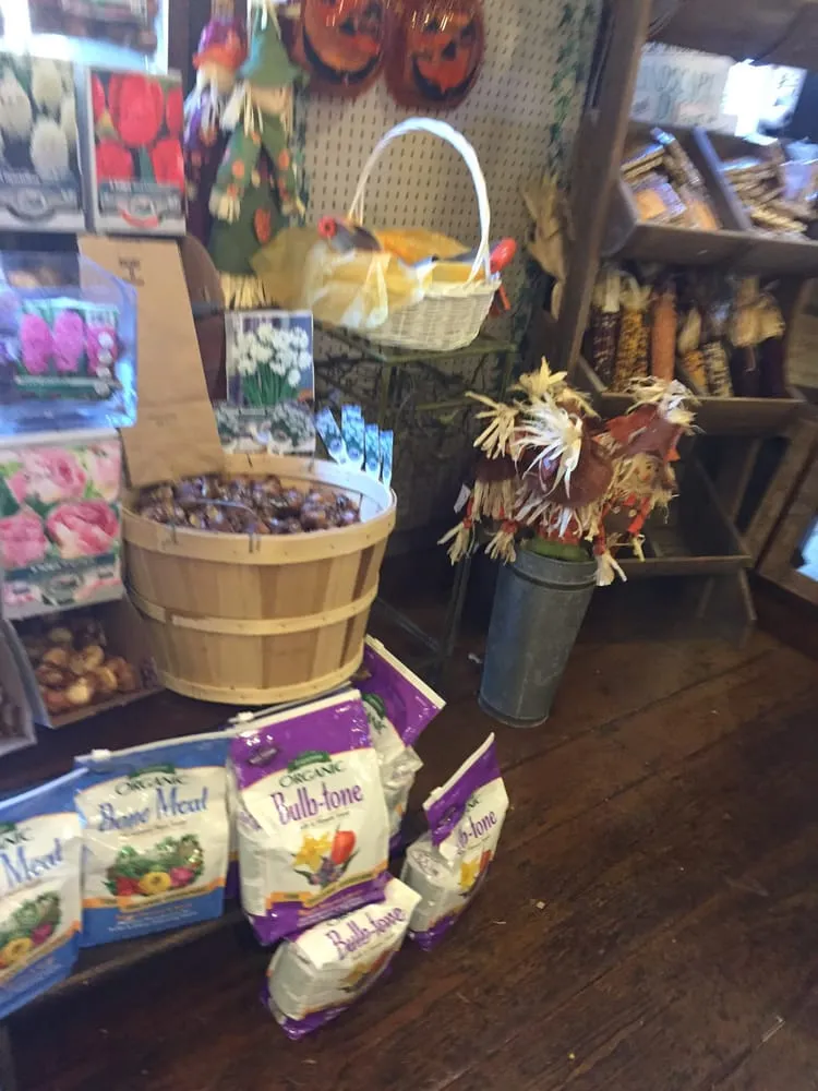 Expert lawn mowing service for beautiful yards in Stamford, CT by Eden Farms Nursery & Garden Center