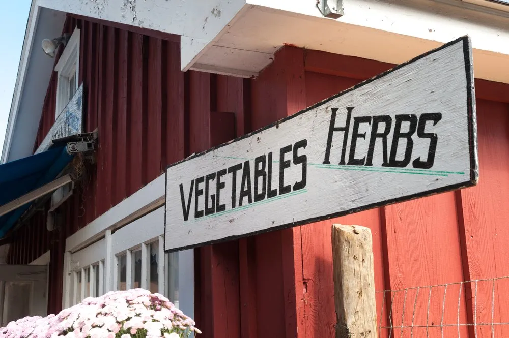 Top-rated landscaping services in Stamford, CT - Eden Farms Nursery & Garden Center