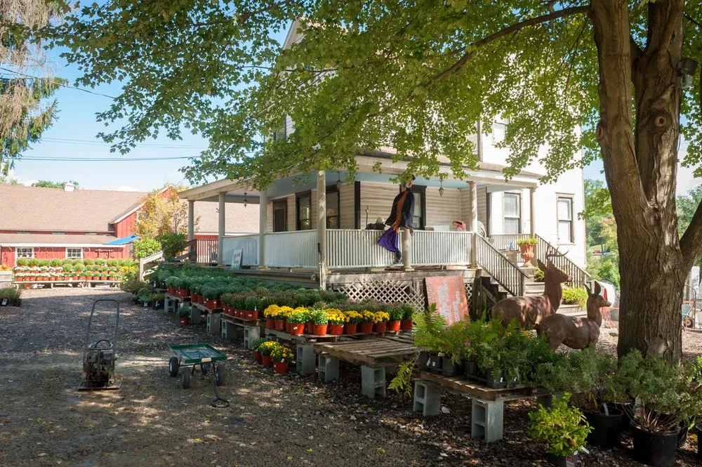 Top-rated landscape installation experts serving Stamford, CT - Eden Farms Nursery & Garden Center