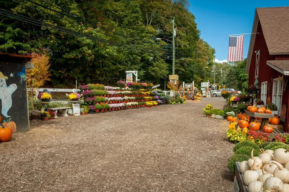 Professional yard cleanup service in Stamford, CT by Eden Farms Nursery & Garden Center