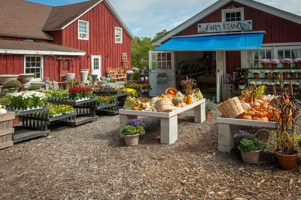 Reliable landscaping services near you in Stamford, CT by Eden Farms Nursery & Garden Center