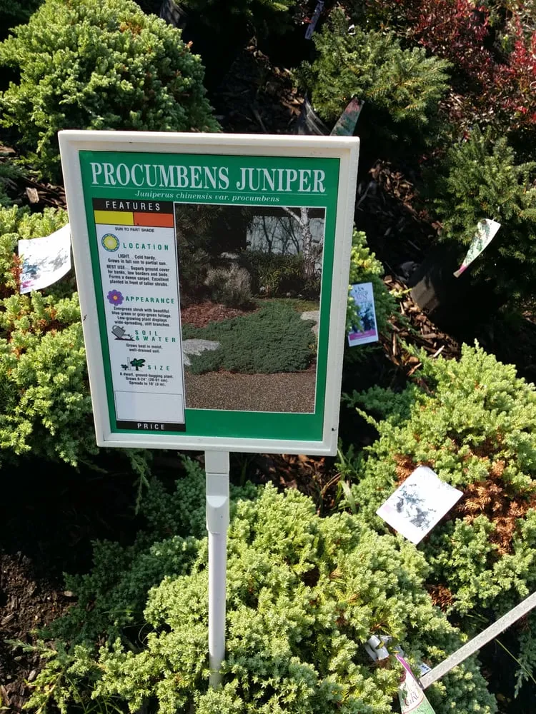 Reliable landscaping services in Stamford, CT by Eden Farms Nursery & Garden Center
