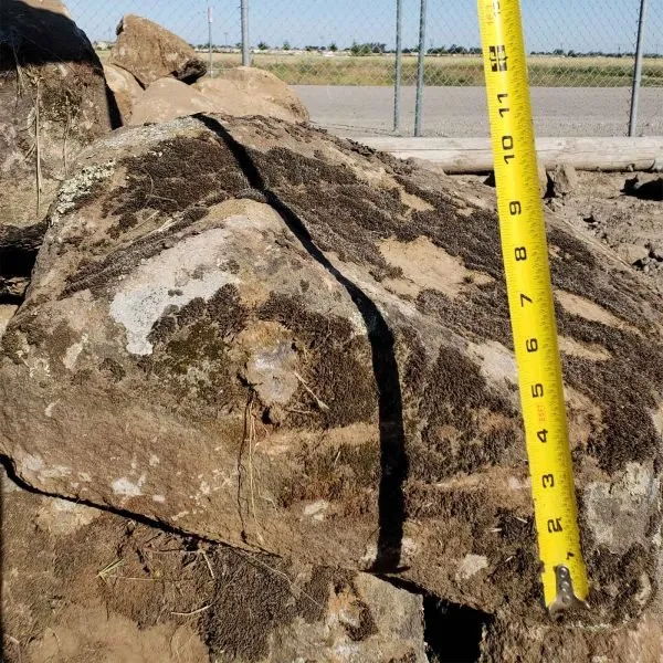 Professional yard cleanup service for year-round maintenance in Lathrop, CA by Eden Garden & Landscape Supply