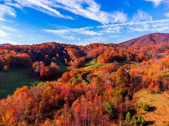 Trusted landscaping services in Elizabethton, TN by Eden Garden & Landscapes