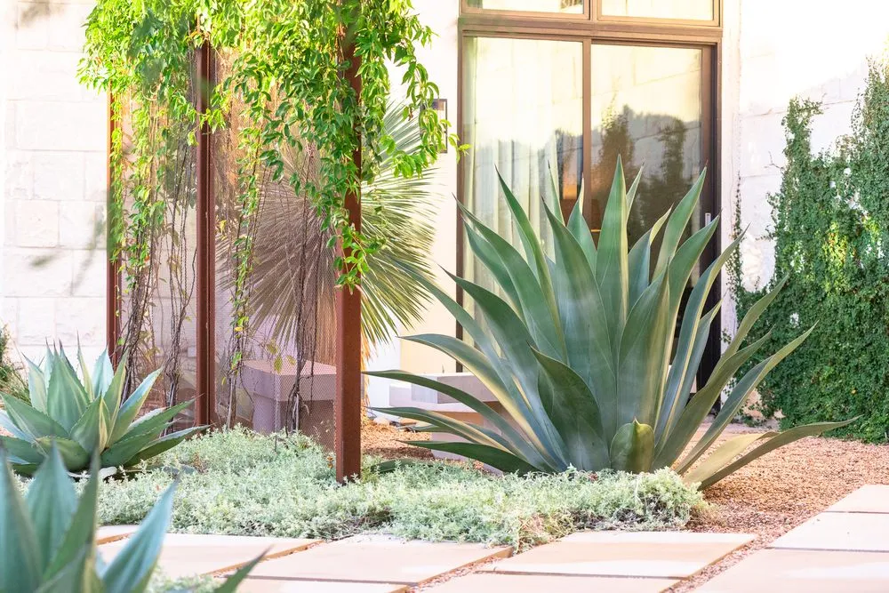 Professional landscaping services in Austin, TX by Eden Garden Design