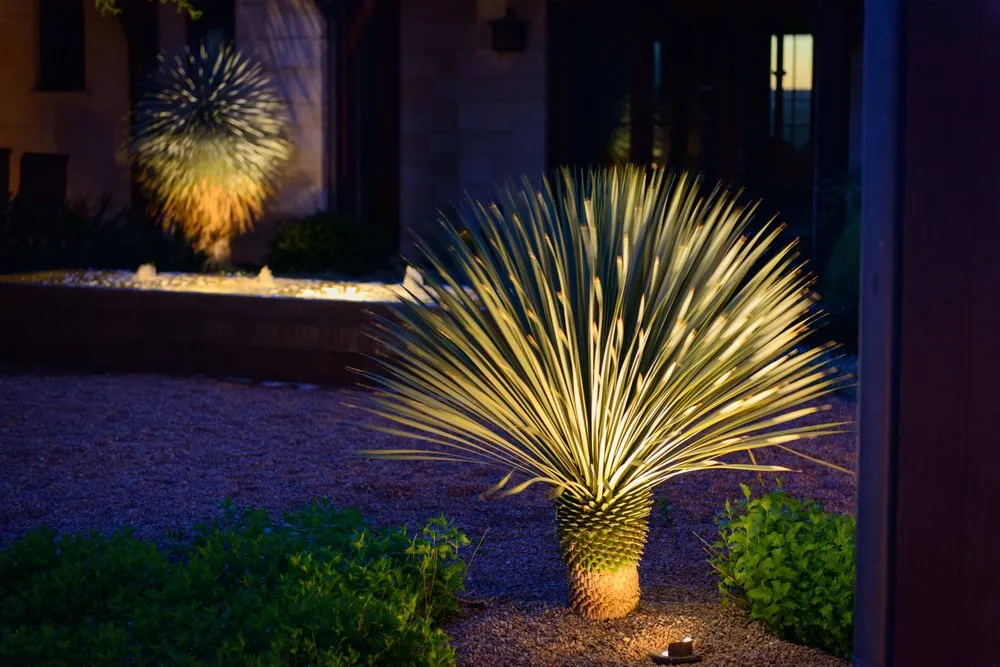 Custom yard maintenance with custom design in Austin, TX by Eden Garden Design