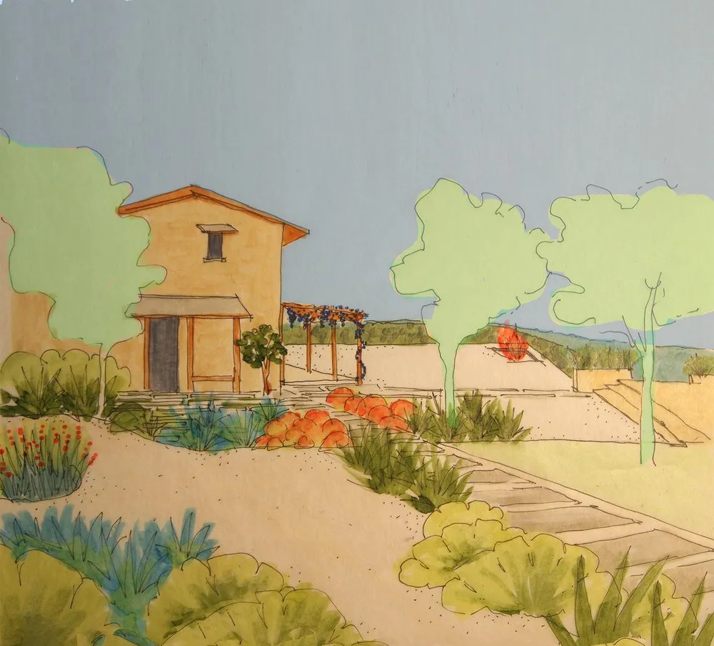 Professional landscaping services in Austin, TX - Eden Garden Design