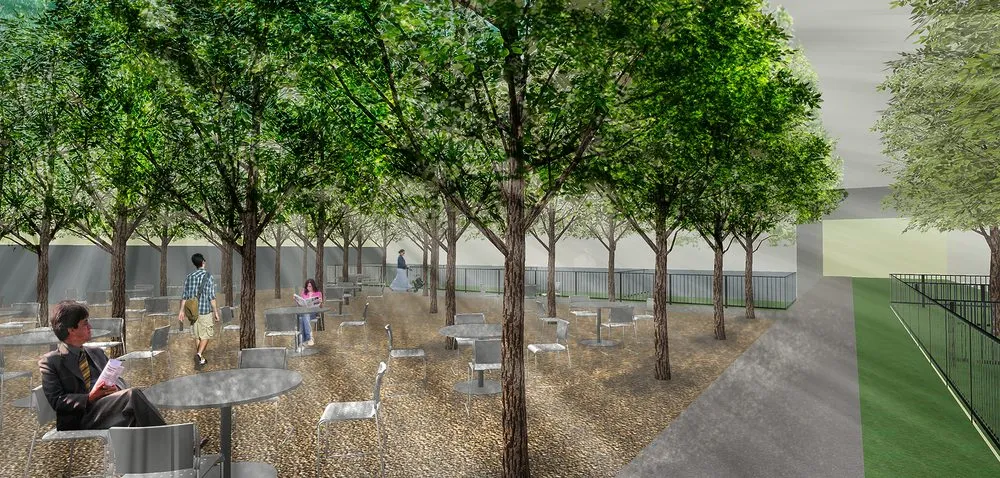 Custom outdoor landscaping in Austin, TX - Eden Garden Design